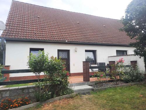 Apartment Zirkow 6