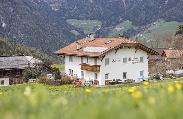 Apartment "Zirme" close to Skiing & Hiking Areas with Mountain View, Wi-Fi & Garden