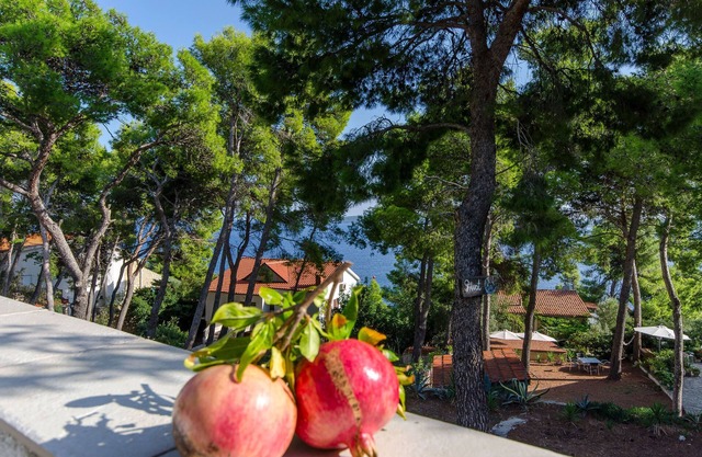 Apartments Bogovic (91341-A1) - Zavala - island Hvar