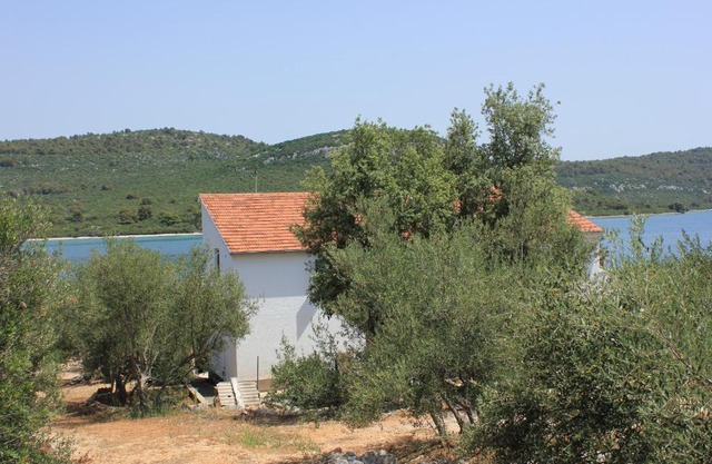 Apartments by the sea Cove Mala Lamjana, Ugljan - 347