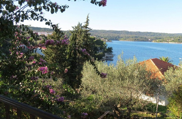 Apartments Janja (10177-A2) - Necujam - island Solta