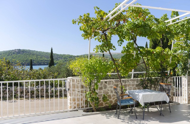Apartments Danica (22221-A1) - Tisno - island Murter