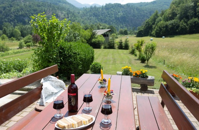 Apartments in a quiet location in the middle between Lake Bohinj and Lake Bled