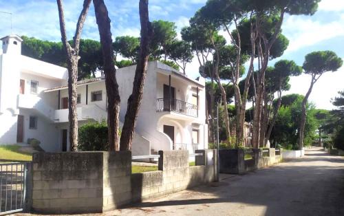 Apartments in Rosolina Mare 25084