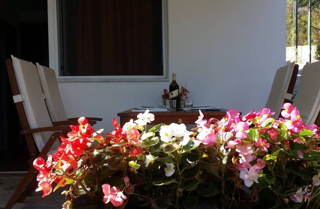 Apartments Jurica (51011-A1) - Drace