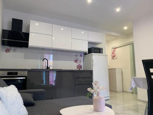 Apartments Milica