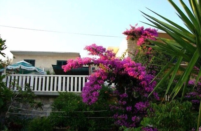 Apartments Nada, (11646), Sućuraj, Croatia