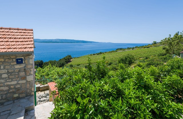 Apartments Nada (97951-A3) - Bol - island Brac