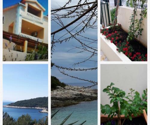 Apartments Punta Milna