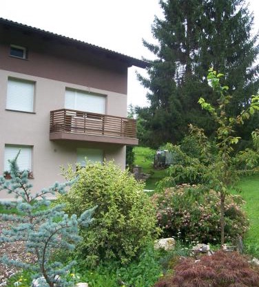 Apartments Soča