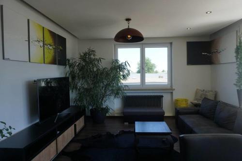 Apartments- stilvolles 95 qm mit Balkon und Parkplatz