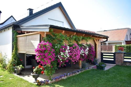 Apartments with parking space Valpovo, Slavonija - 24020