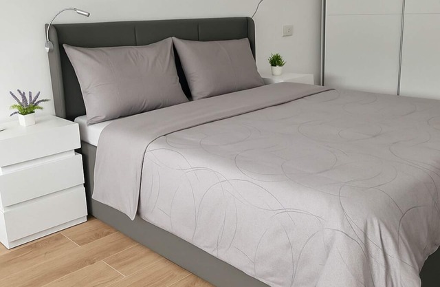 Apollo Apartment - Centrally located modern apartment for travelers & families.