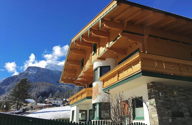 App 4 in Appartementhaus Zillertal near Ski Areas with Mountain View, Sauna, Balcony