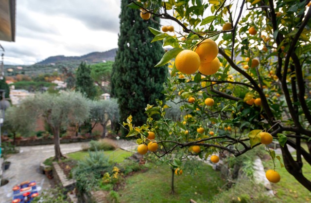 Appartamento in giardino, soggiorno minimo 5 notti