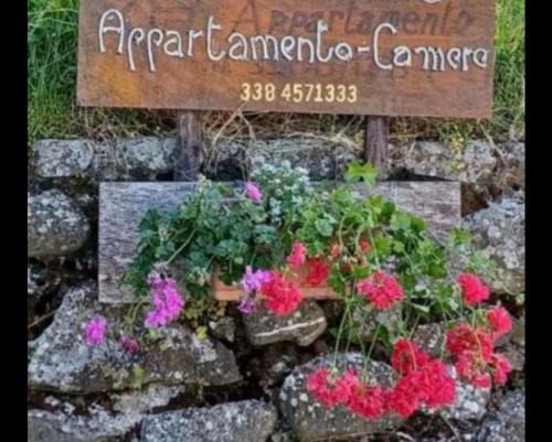 Appartamento DANIELA