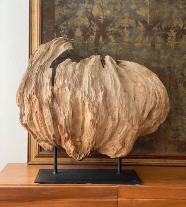 Appartamenti di Andrea