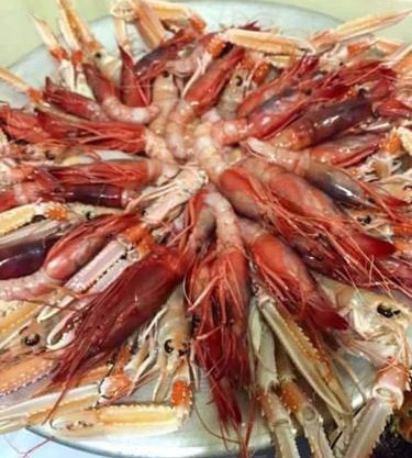 Appartamenti Del Pescatore