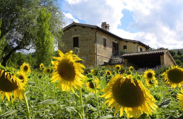 Appartamenti Verde Collina Umbra