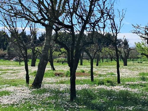 Appartamento Al Forte