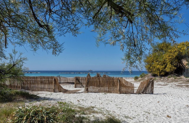 Appartamento Eucaliptus near the Beach with Sea View, Pool, A/C, Garden, Terrace & Balcony