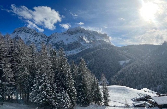 Appartaments Sanderhof