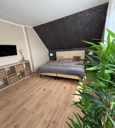 Appartement 1 - Einzimmerwohnung mit Küche und Bad