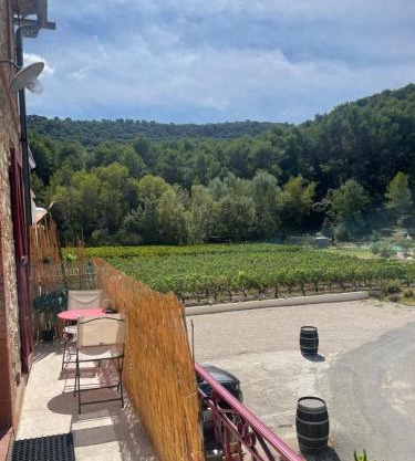 Appartement au calme au milieu du vignoble de Gigondas