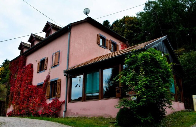 Appartement au Calme Dans la Nature en Alsace