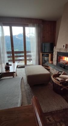 Appartement au pied des télécabines