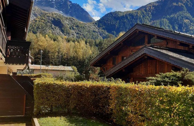 Appartement charme avec terrasse, vue Mont Blanc, parking, 3/4 pers - FR-1-517-65