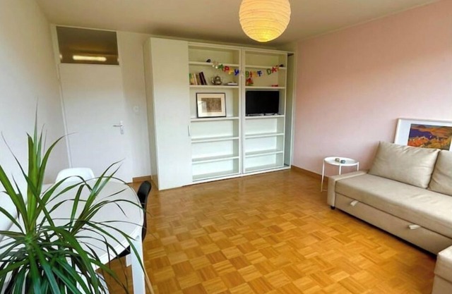 Appartement Confortable Dans le Centre de Kleinbasel