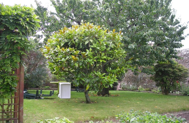 Appartement Dans Maison de Caractère Avec Très Beau Jardin Arboré