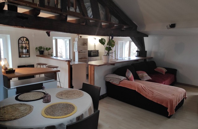 Appartement de Charme en Plein Coeur de la Cité Médiéval