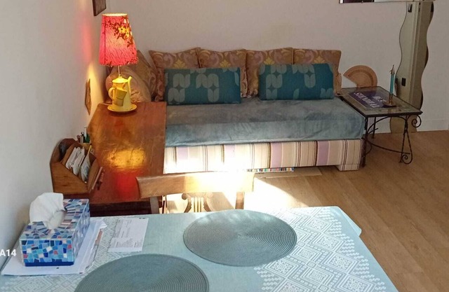 Appartement Idéal Pour les JO - 5e arr Paris Centre