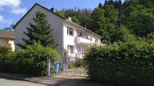 Appartement In Steina Mit Terrasse Und Garten
