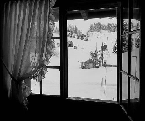 Appartement les Myosotis