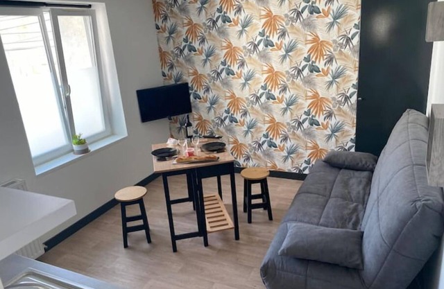 Appartement Proche Centre/gare