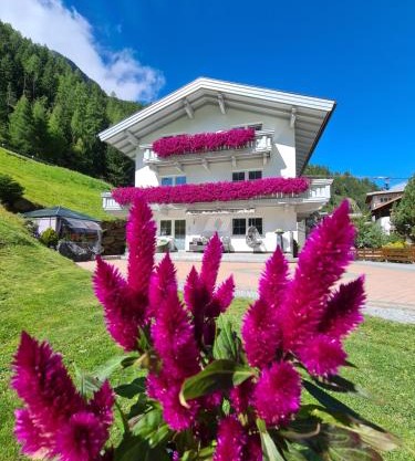 Appartement Skorpion