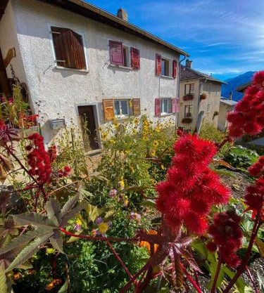 Appartement typique avec Carnotzet