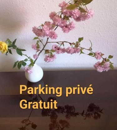 Appartement Zen Strasbourg center avec parking