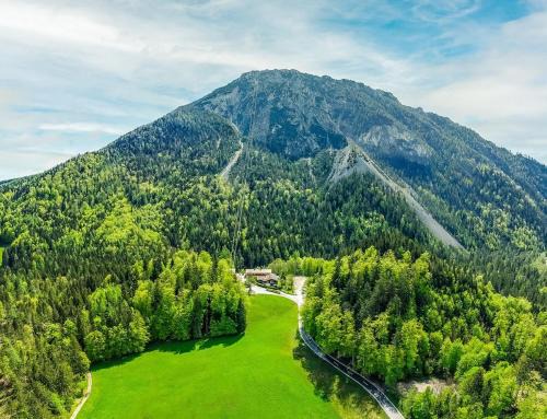 Appartements am Taubensee