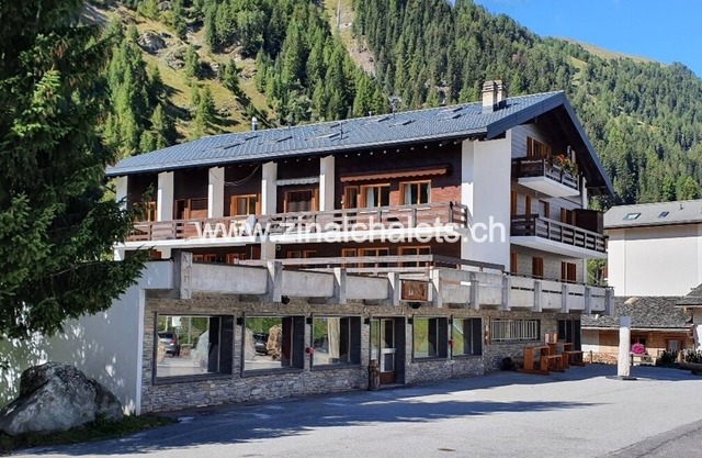 Appartment in a building in Zinal - 2 beds in the living room - kitchen - 1 shower/WC - TV broadcast