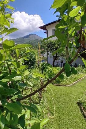 Appartment Lodged Mamma Maria