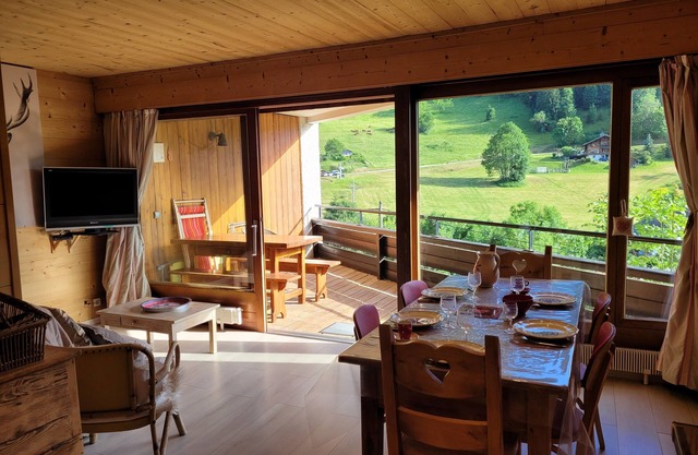 APT 190m slope MODERN AND COSY SUPERB SUNNY TERRACE