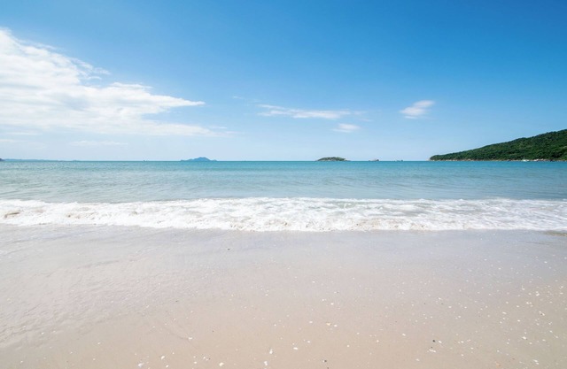 Apt a 100m da Praia dos Ingleses ING4101