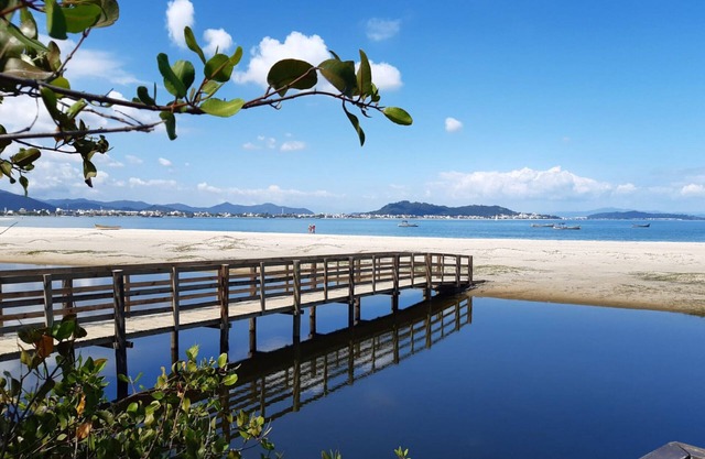 Apt Foot in the Sand in Condominium w/ Pool N1298
