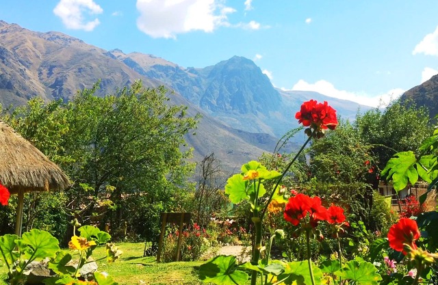 Apu Lodge B&B