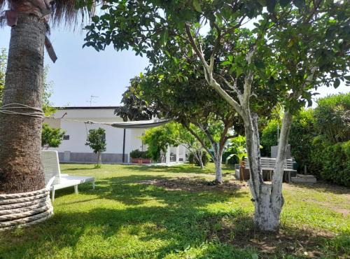 Aragon Cottage Apartments