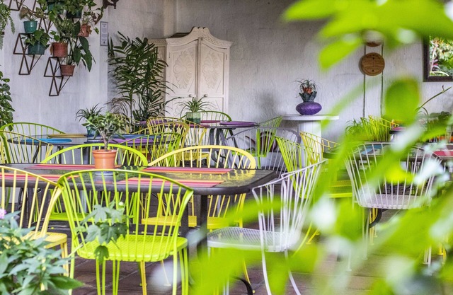 Árbol de Fuego Eco-hotel, a green experience in the city